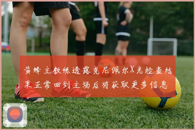 黄蜂主教练透露克尼佩尔X光检查结果正常回到主场后将获取更多信息