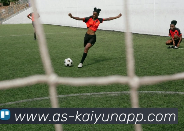 多媒体互动体验