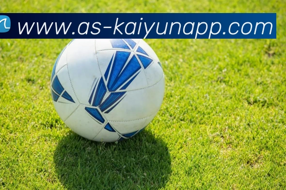 开云体育APP 高清赛事图